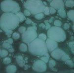 Epoxy Metallic Flooring 8