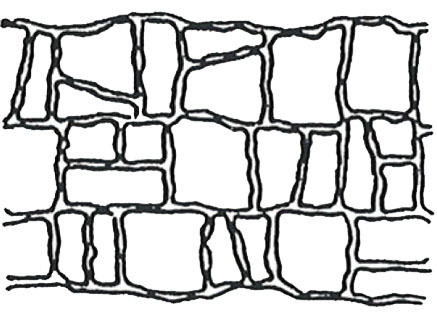 Concrete Resurfacing 23 convict rock